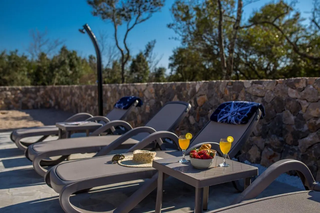 Modern Villa With Pool, Sea View, Near The Sea And The Beach - By Traveler Tourist Agency Krk Id 2168 Pinezici  Pinezici (Krk)